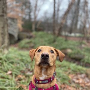 Meet your Posher, Mariah